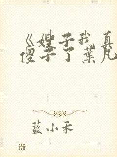 《嫂子我真不是傻子了叶凡》封面