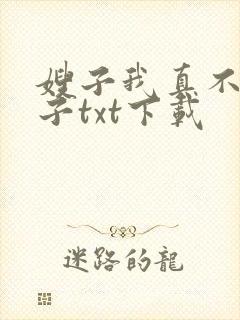 嫂子我真不是傻子txt下载封面