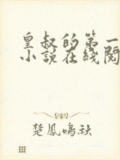 皇叔的第一宠妃小说在线阅读