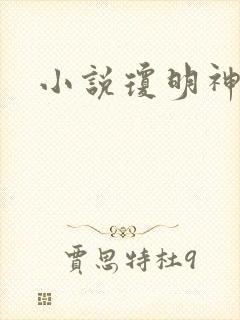 小说琼明神女录封面
