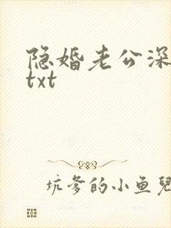 隐婚老公深夜来txt封面