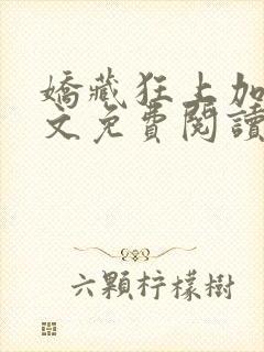娇藏狂上加狂全文免费阅读笔趣阁