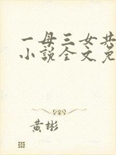 一母三女共一婿小说全文免费阅读封面