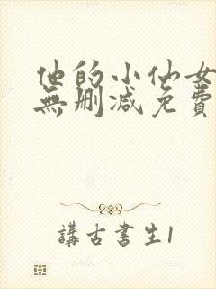 他的小仙女全文无删减免费阅读封面