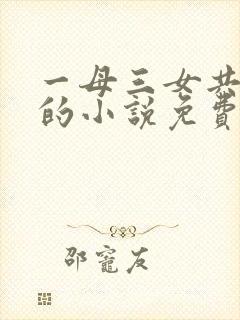 一母三女共一婿的小说免费阅读