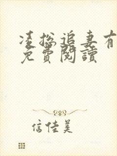 凌总追妻有点甜免费阅读封面