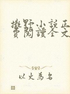 撒野小说正版免费阅读全文无弹窗封面
