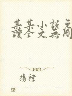 某某小说免费阅读全文无删减版封面