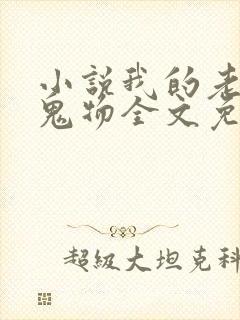 小说我的老公是鬼物全文免费阅读