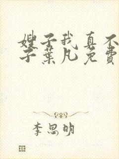 嫂子我真不是傻子叶凡免费下载封面