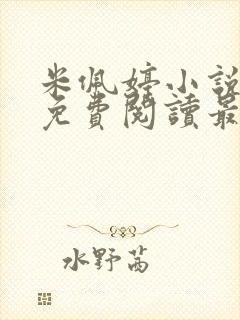 米佩婷小说全文免费阅读最新章节
