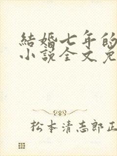 结婚七年的丈夫小说全文免费阅读封面