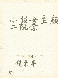 小说女主颜汐女二阮念封面