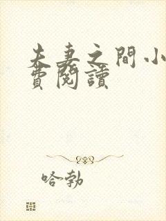 夫妻之间小说免费阅读