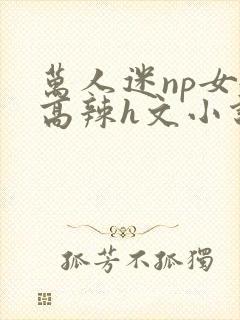 万人迷np女嬷高辣h文小说免费阅读封面