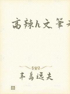 高辣h文笔趣阁封面