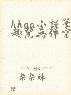 hhaa小说笔趣阁无弹窗最新章节