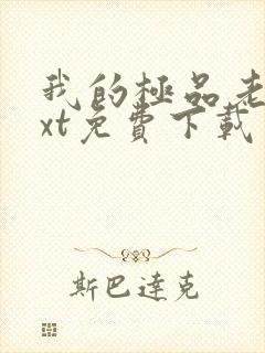 我的极品老婆txt免费下载