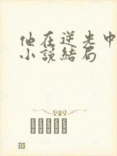 他在逆光中告白小说结局
