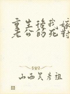 重生后我嫁给了老公的死对头 短剧