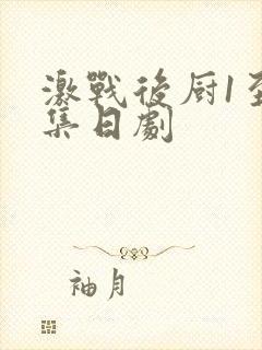 激战后厨1至5集日剧