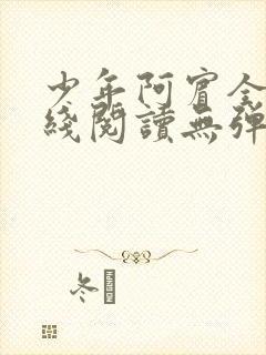 少年阿宾全文在线阅读无弹窗