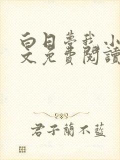 白日梦我小说全文免费阅读封面