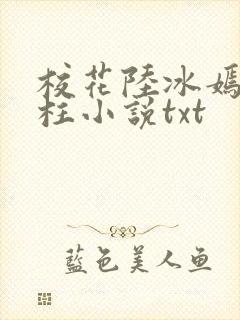 校花陆冰嫣陈宝柱小说txt