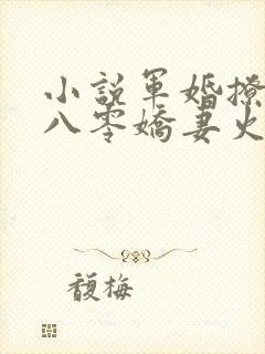 小说军婚撩人:八零娇妻火辣辣免费看