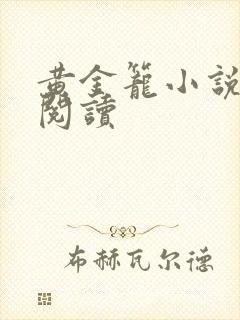 黄金笼小说免费阅读封面