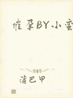 催孕BY小蛮腰