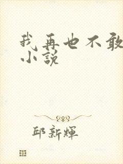 我再也不敢了 小说