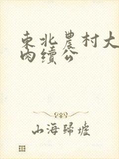 东北农村大炕乱肉续公封面