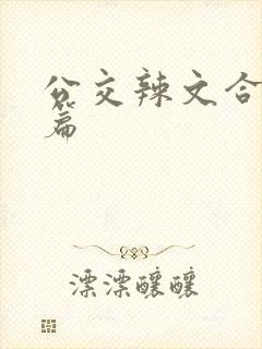 公交辣文合集短篇