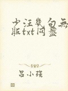 少汪几句无删减版txt网盘
