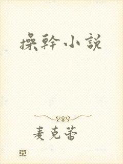 操干小说封面