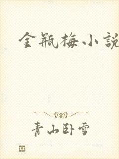金瓶梅小说