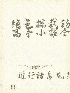 绝色总裁的超级高手小说全文在线阅读
