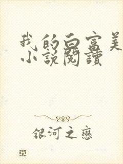 我的白富美老婆小说阅读