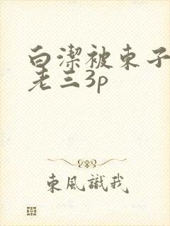 白洁被东子老二老三3p