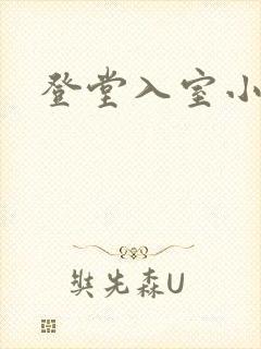 登堂入室小说