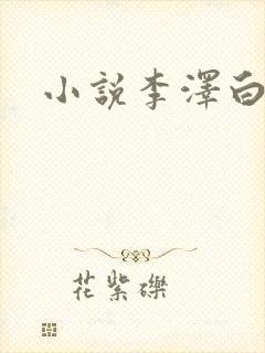 小说李泽白心媛