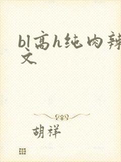 bl高h纯肉辣文