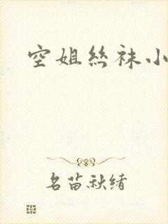 空姐丝袜小说