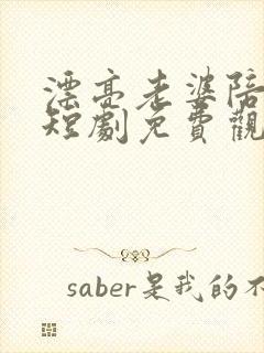漂亮老婆陪过年短剧免费观看全集封面