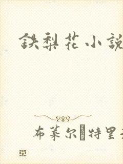 铁梨花小说封面