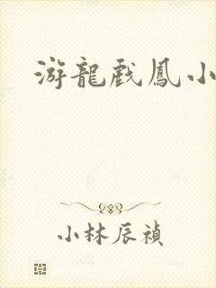 游龙戏凤小说封面