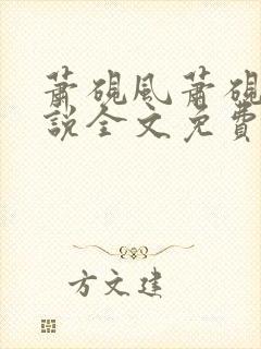 萧砚风萧砚风小说全文免费阅读