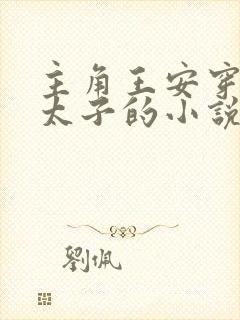 主角王安穿越成太子的小说封面