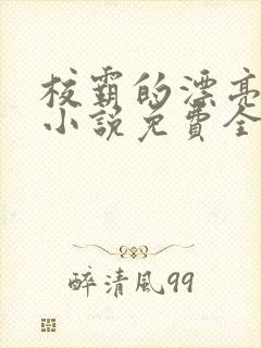 校霸的漂亮继父小说免费全文阅读封面